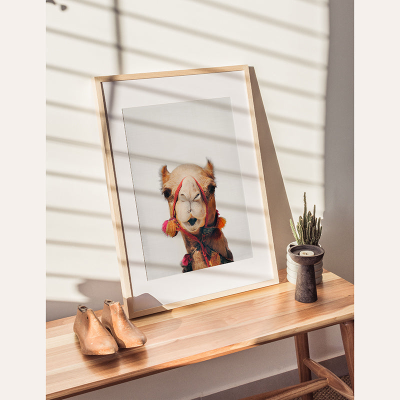 Camel / Framed Print - Sisi And Seb - Framed Prints Sisi And Seb