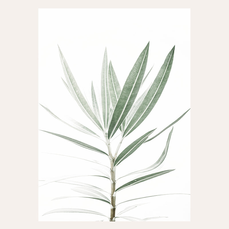 Botanical IV Oleander / Art Print - Sisi And Seb - Art Prints Sisi And Seb