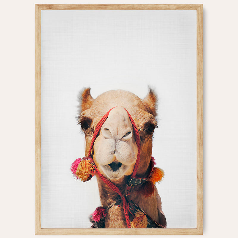 Camel / Framed Print - Sisi And Seb - Framed Prints Sisi And Seb