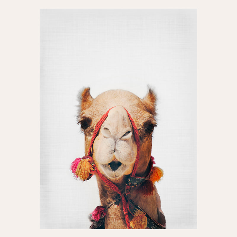 Camel / Art Print - Sisi And Seb - Art Prints Sisi And Seb