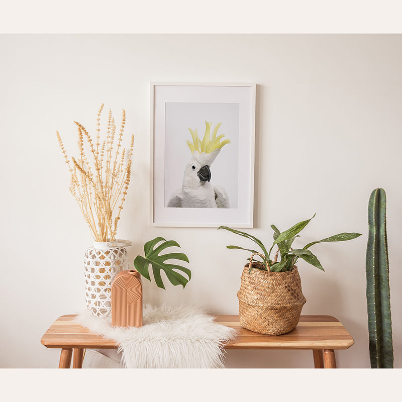 Cockatoo / Framed Print - Sisi And Seb - Framed Prints Sisi And Seb