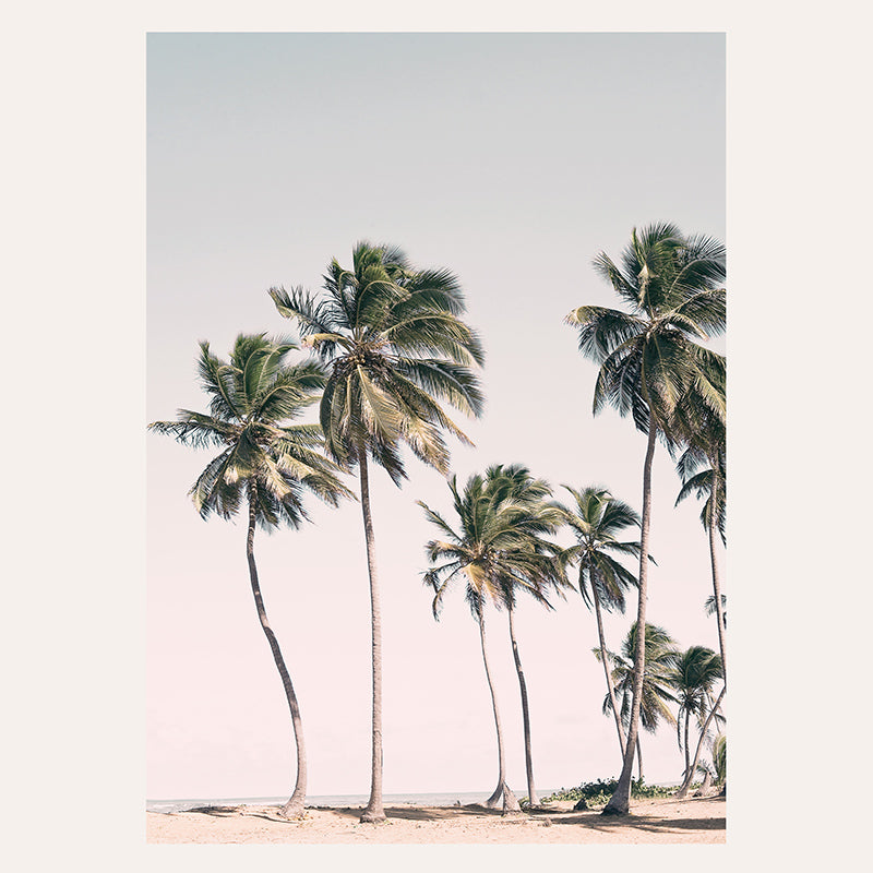 Palms / Art Print - Sisi And Seb - Art Prints Sisi And Seb