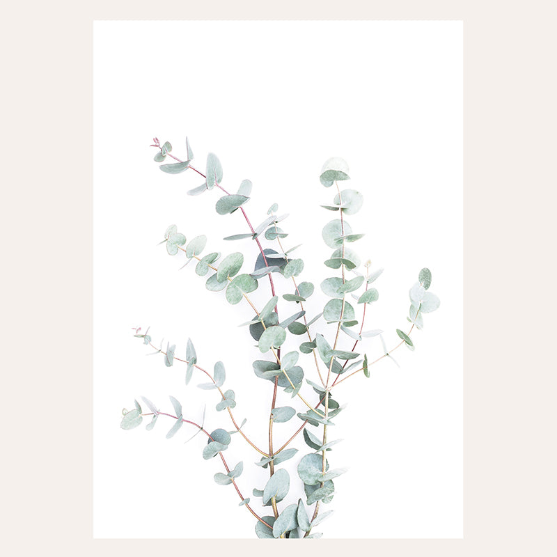 Botanical I Eucalyptus / Art Print - Sisi And Seb - Art Prints Sisi And Seb