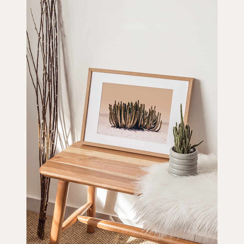 Peachy Cactus / Framed Print - Sisi And Seb - Framed Prints Sisi And Seb