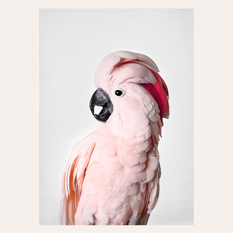 Pink Cockatoo / Art Print - Sisi And Seb - Art Prints Sisi And Seb