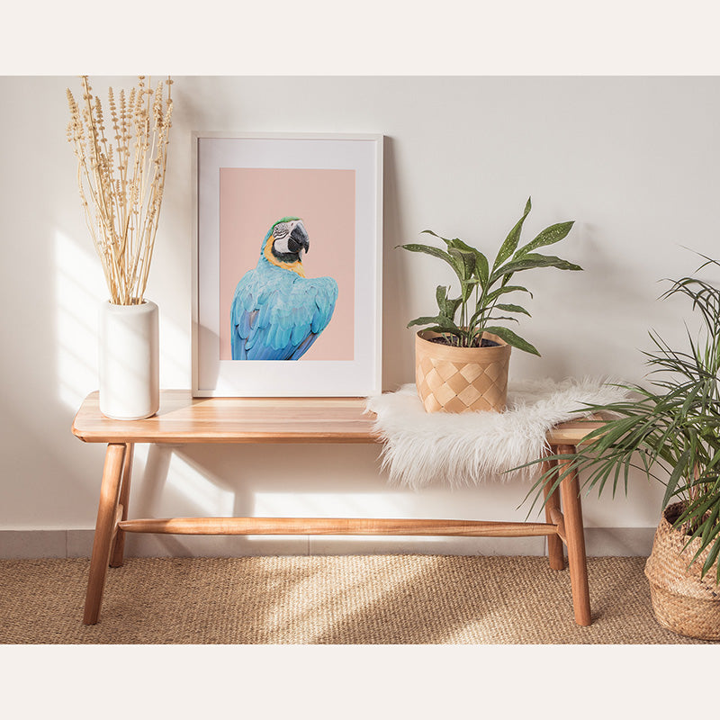 Blue Ara / Art Print - Sisi And Seb - Art Prints Sisi And Seb