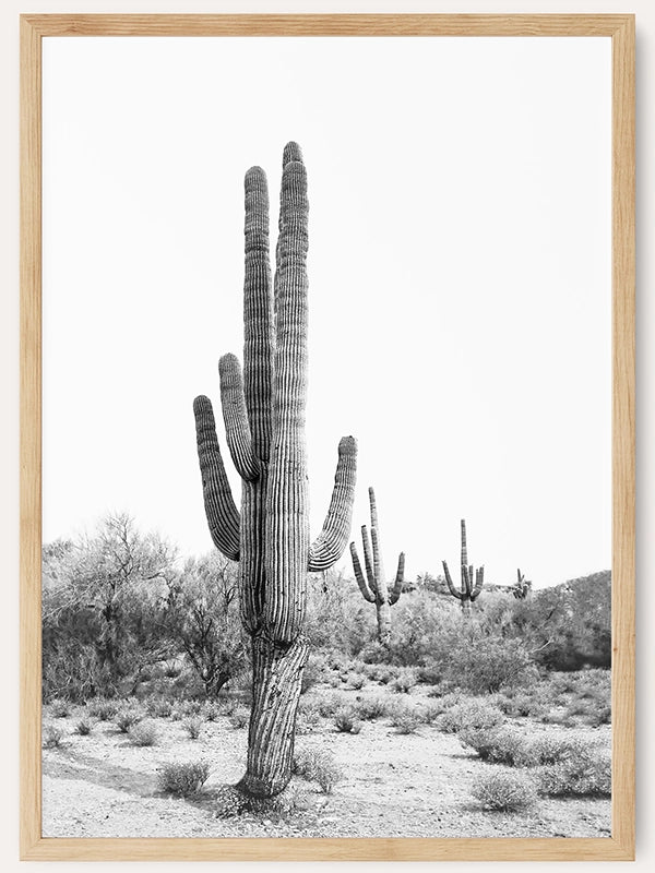 Desert Cactus BW /  FRAMED PRINT