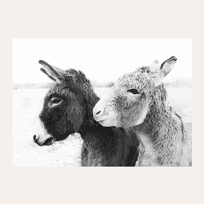 Donkey Love / Art Print - Sisi And Seb - Art Prints Sisi And Seb