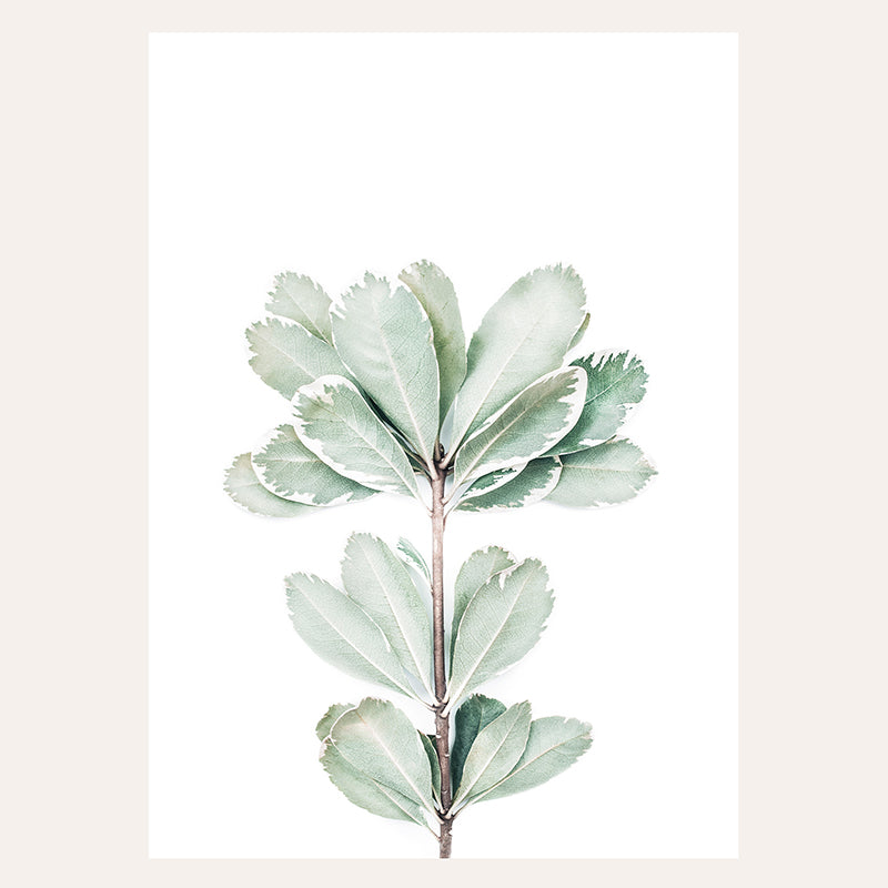 Botanical III Foliage / Art Print - Sisi And Seb - Art Prints Sisi And Seb