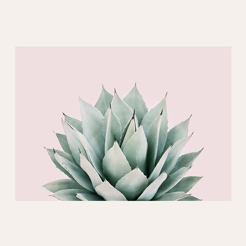 Agave / Art Print - Sisi And Seb - Art Prints Sisi And Seb