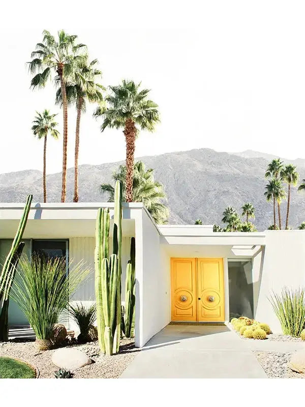 PALM SPRINGS III