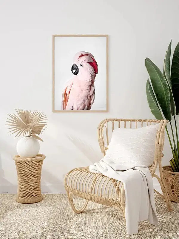 Pink Cockatoo /  FRAMED PRINT