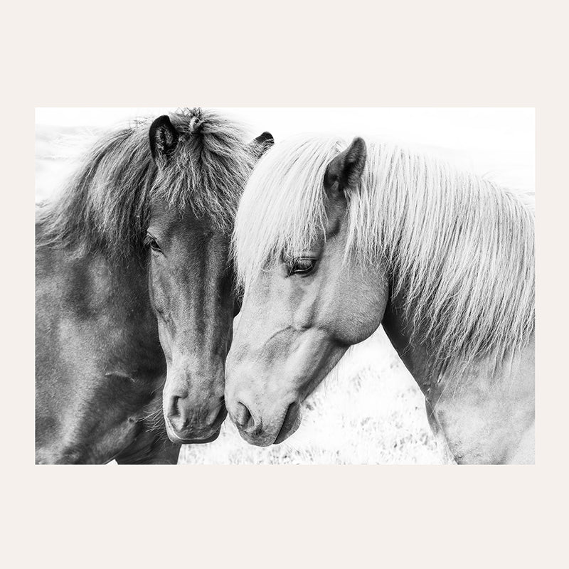 a black and white photo of two horses