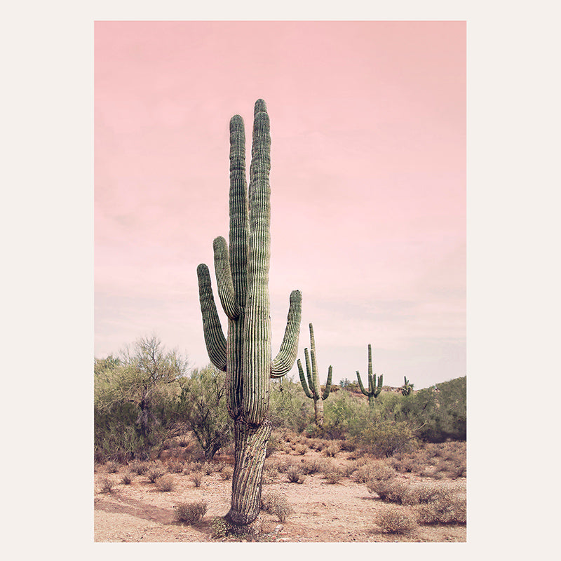 Pink Sky Desert Cactus / Art Print - Sisi And Seb - Art Prints