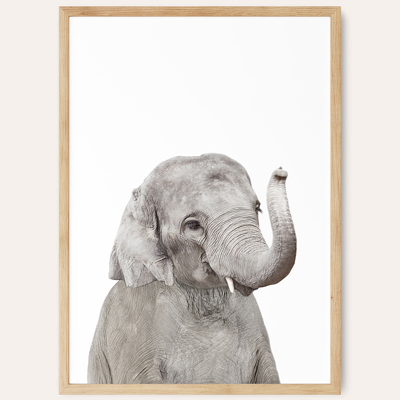 Baby Elephant / Framed Print - Sisi And Seb - Framed Prints
