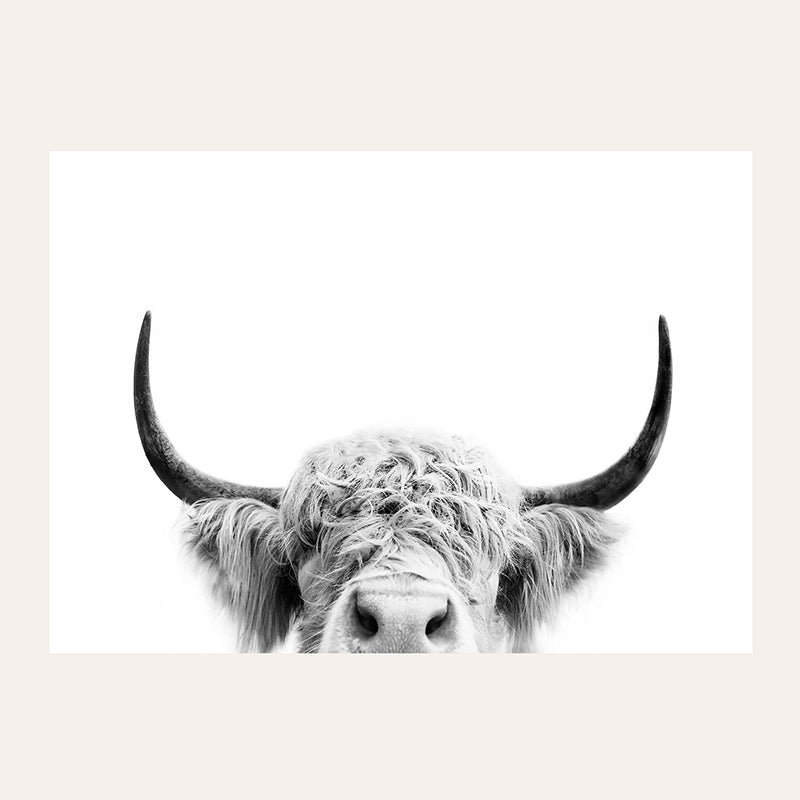 a black and white photo of a bull with long horns