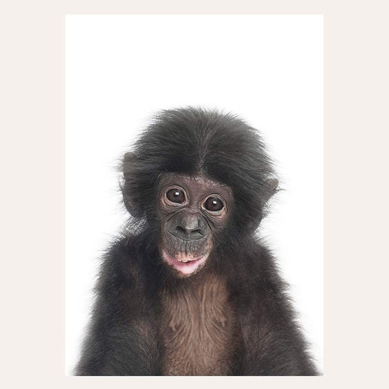 Baby Monkey / Art Print - Sisi And Seb - Art Prints