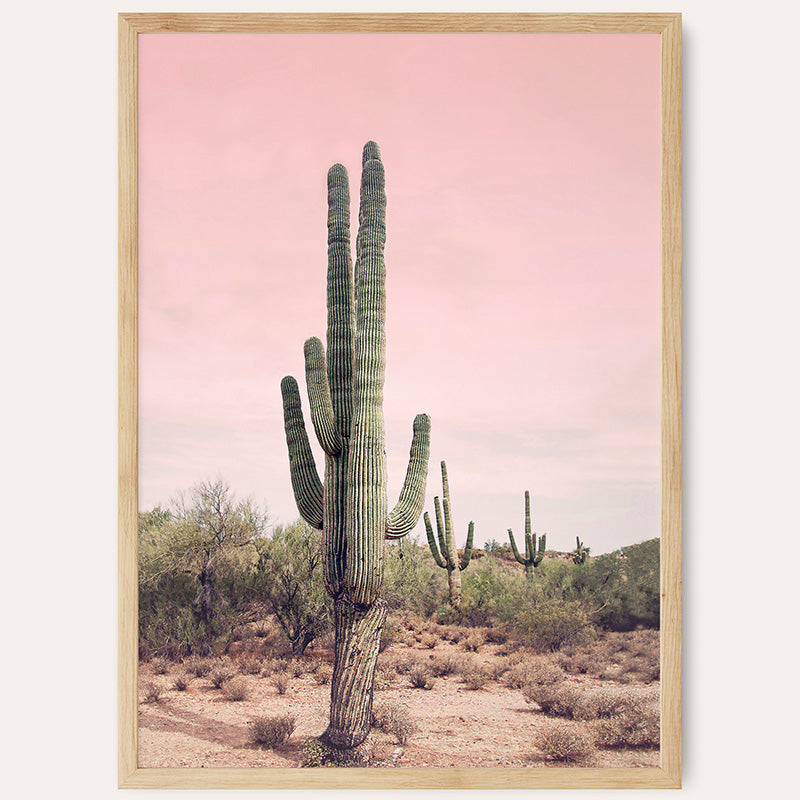 Pink Sky Desert Cactus / Framed Print - Sisi And Seb - Framed Prints