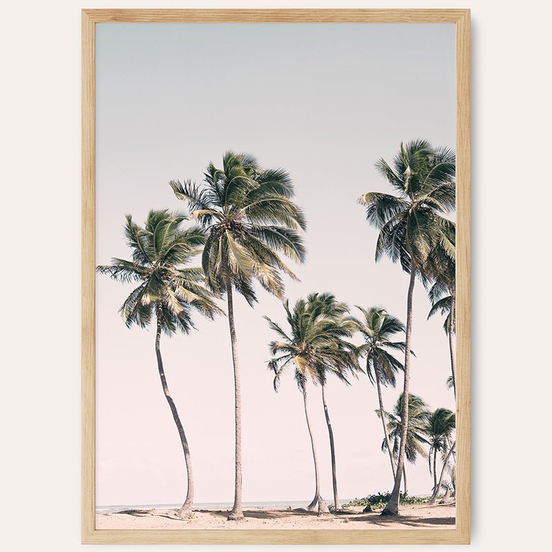 a framed photograph of palm trees on a beach