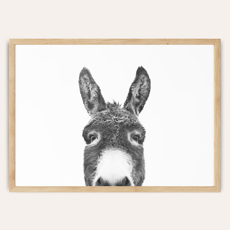 a black and white photo of a donkey&#39;s face