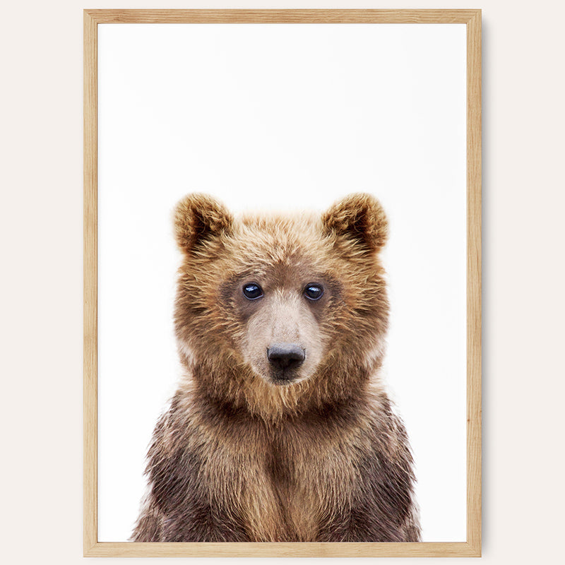 Baby Bear / Framed Print - Sisi And Seb - Framed Prints