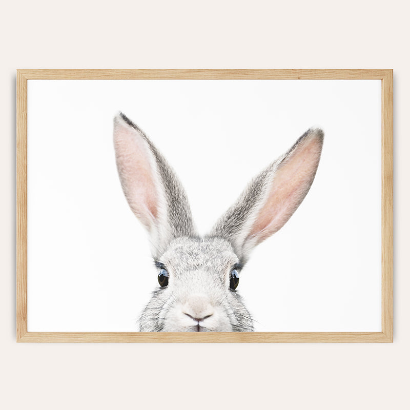 a framed picture of a rabbit&#39;s face