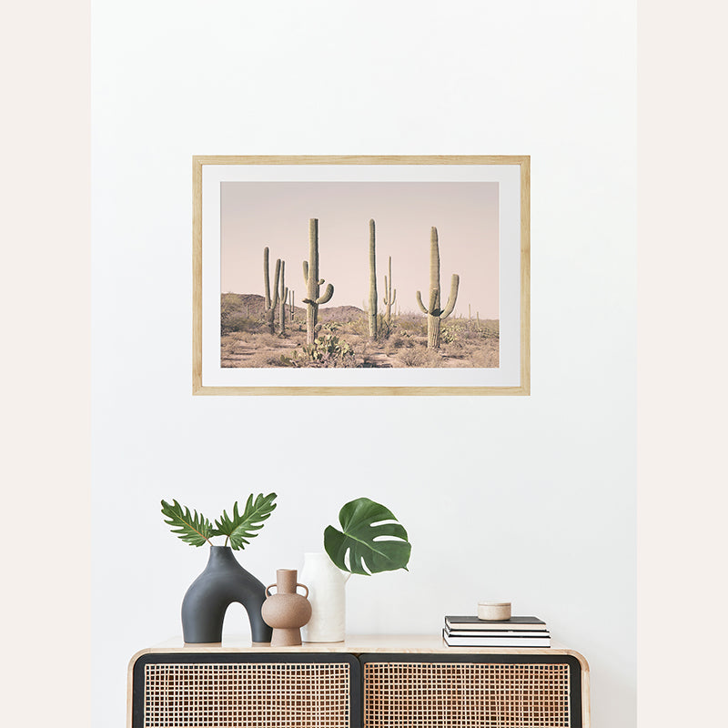 a picture of a cactus in a frame on a wall