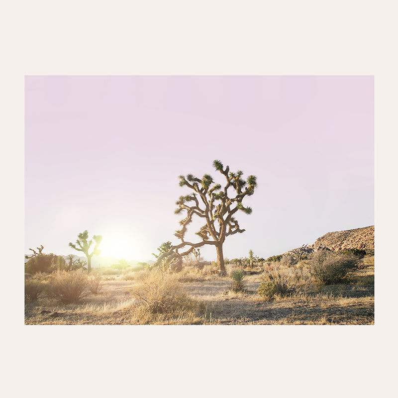 Purple Sky Joshua Tree / Art Print - Sisi And Seb - Art Prints