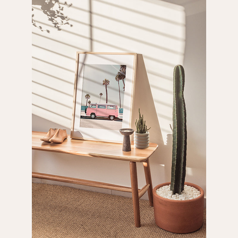 a cactus sits on a table next to a picture of a van