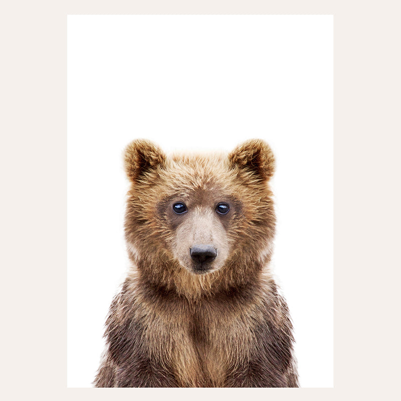 a close up of a bear with a white background