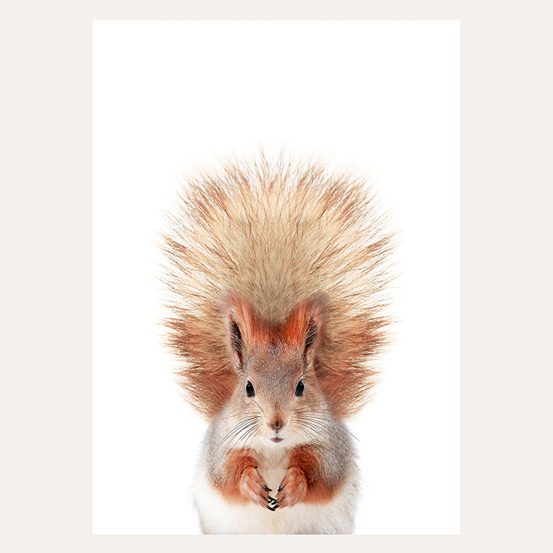 a picture of a squirrel with a mohawk on it&#39;s head