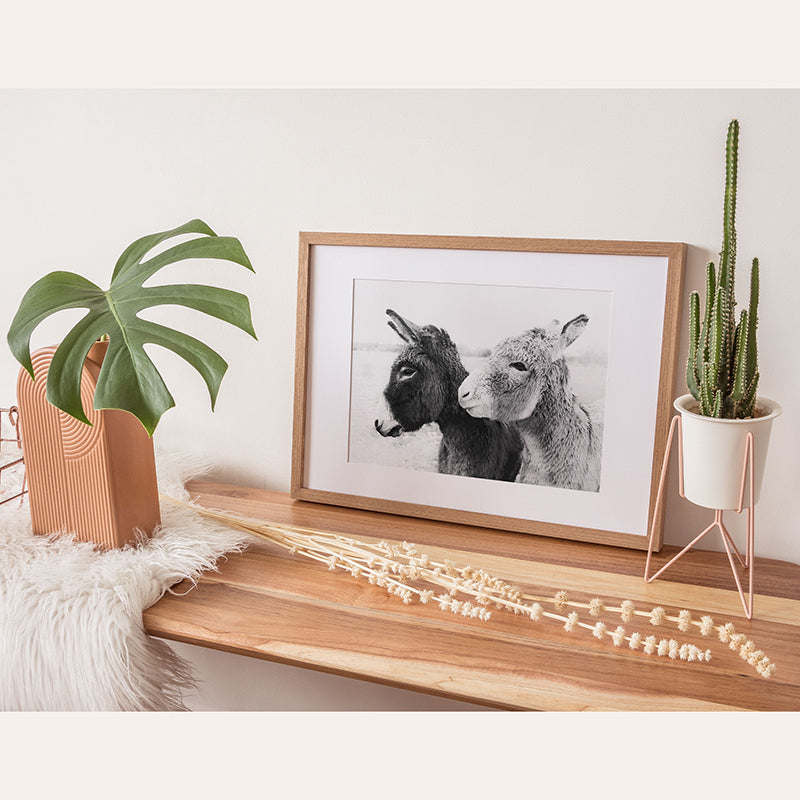 a picture of two donkeys on a shelf next to a potted plant