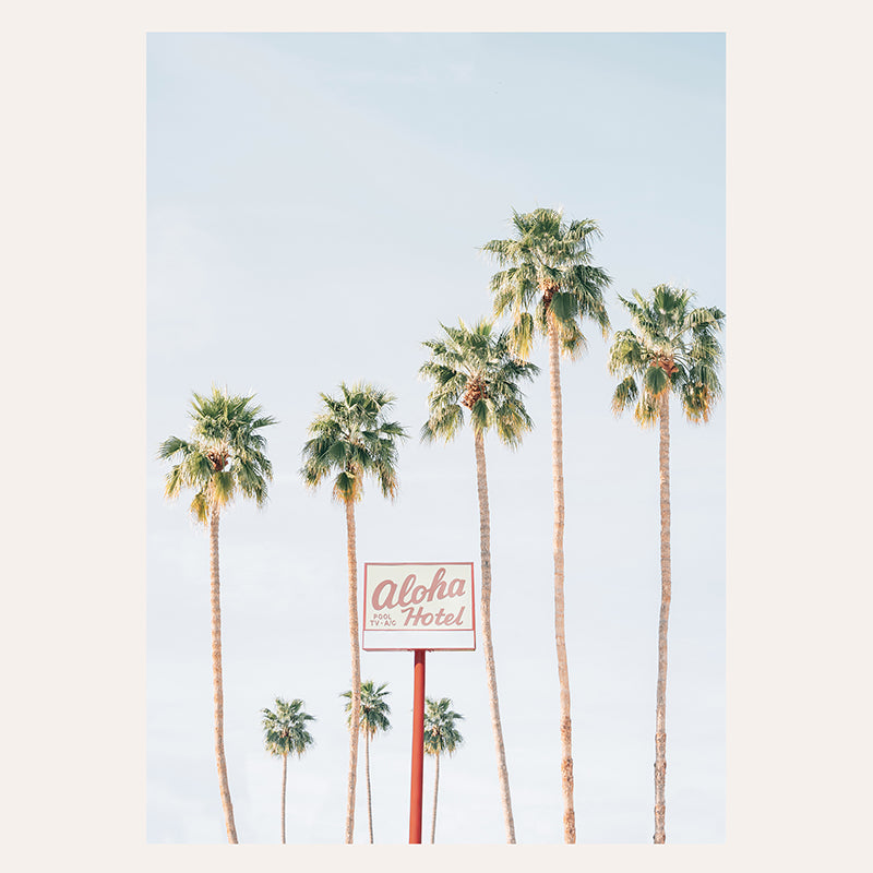 a palm tree lined street next to a sign