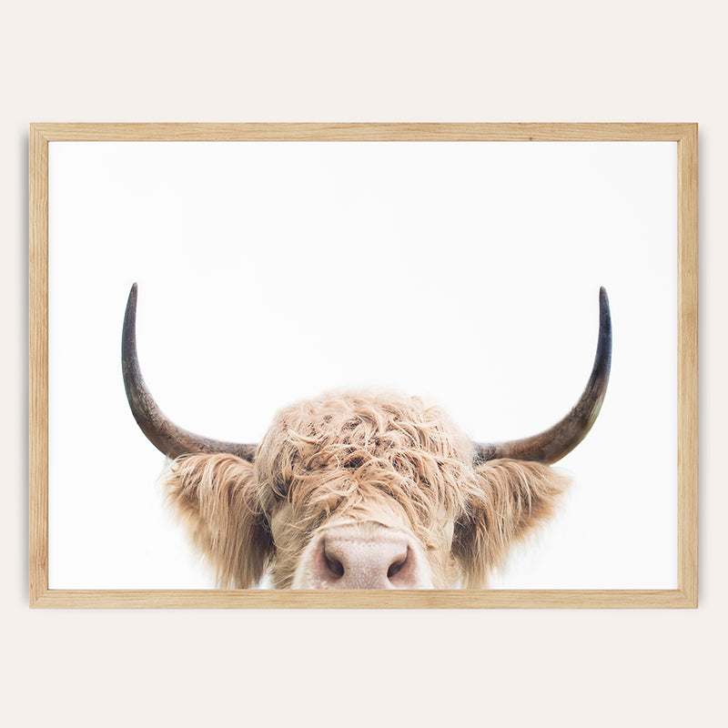 Peeking Cow / Framed Print - Sisi And Seb - Framed Prints