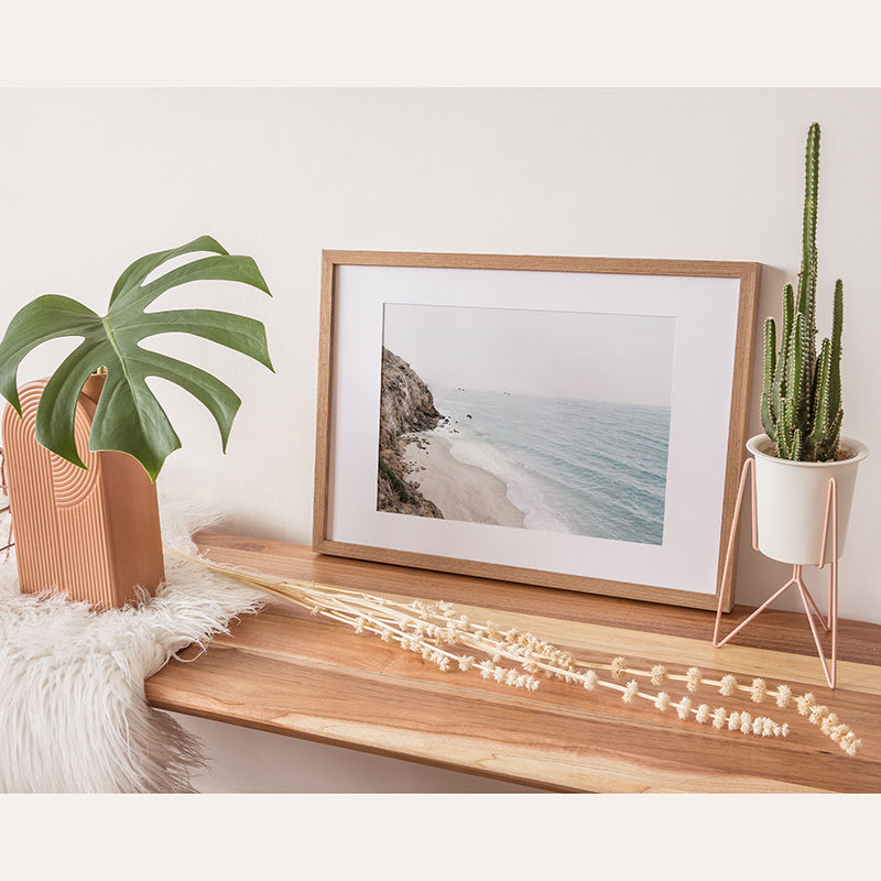 a picture of a beach is on a shelf next to a potted plant