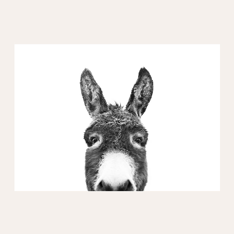 a black and white photo of a donkey&#39;s face