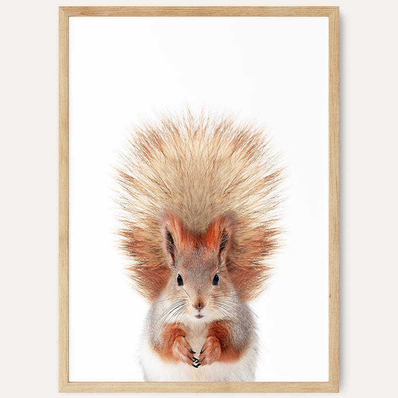 Baby Squirrel / Framed Print - Sisi And Seb - Framed Prints