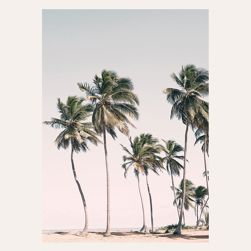 a group of palm trees on a beach