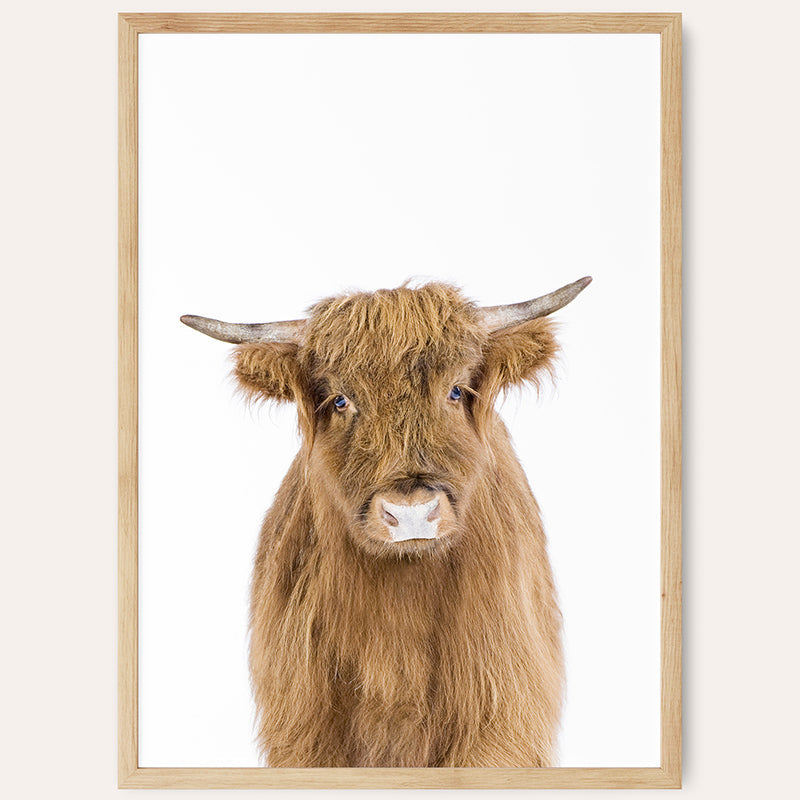 Baby Cow / Framed Print - Sisi And Seb - Framed Prints