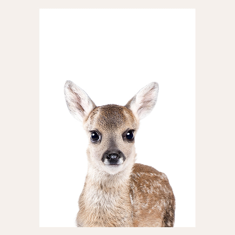 a baby deer is looking at the camera