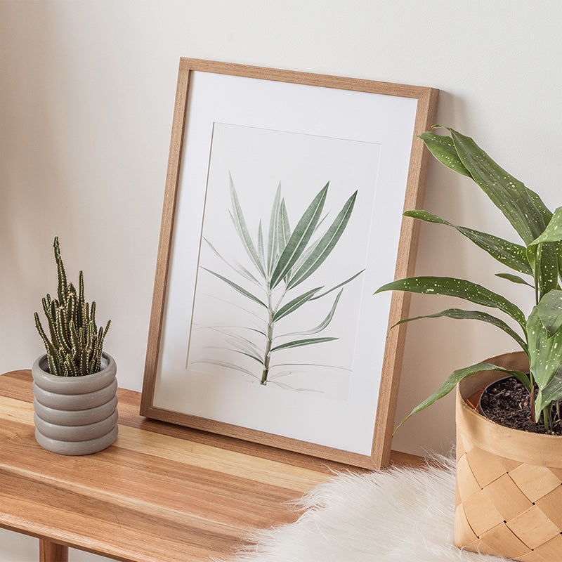 a picture of a plant and a potted plant on a table