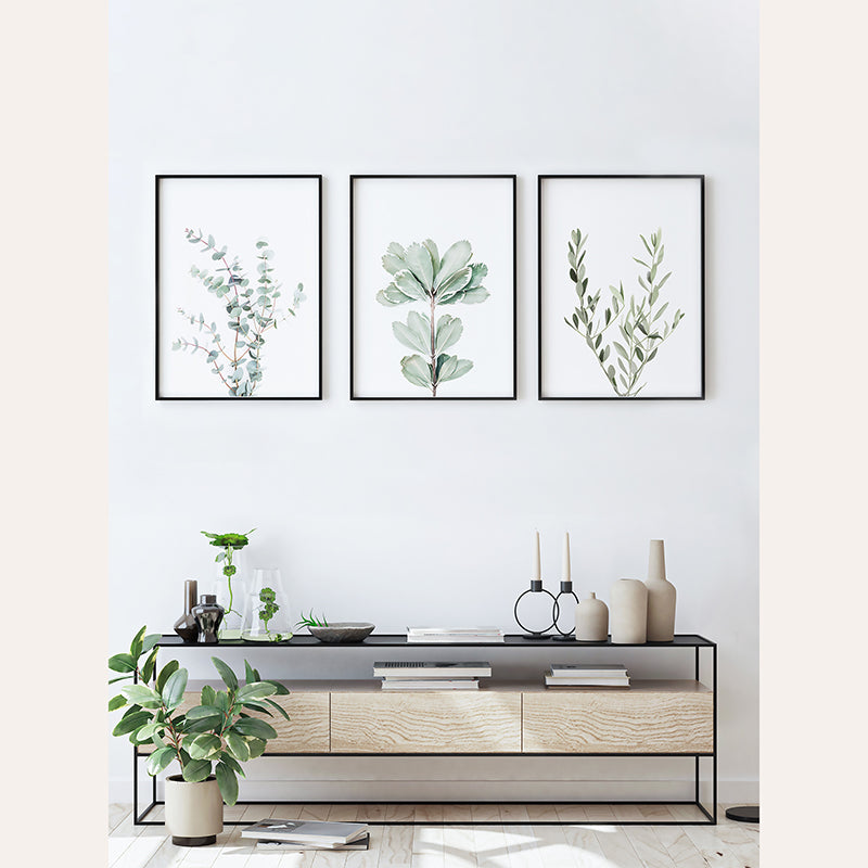 a living room with three framed plants on the wall