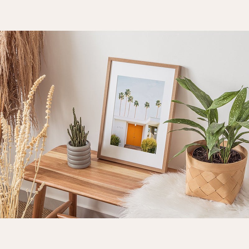 a potted plant next to a picture of a house