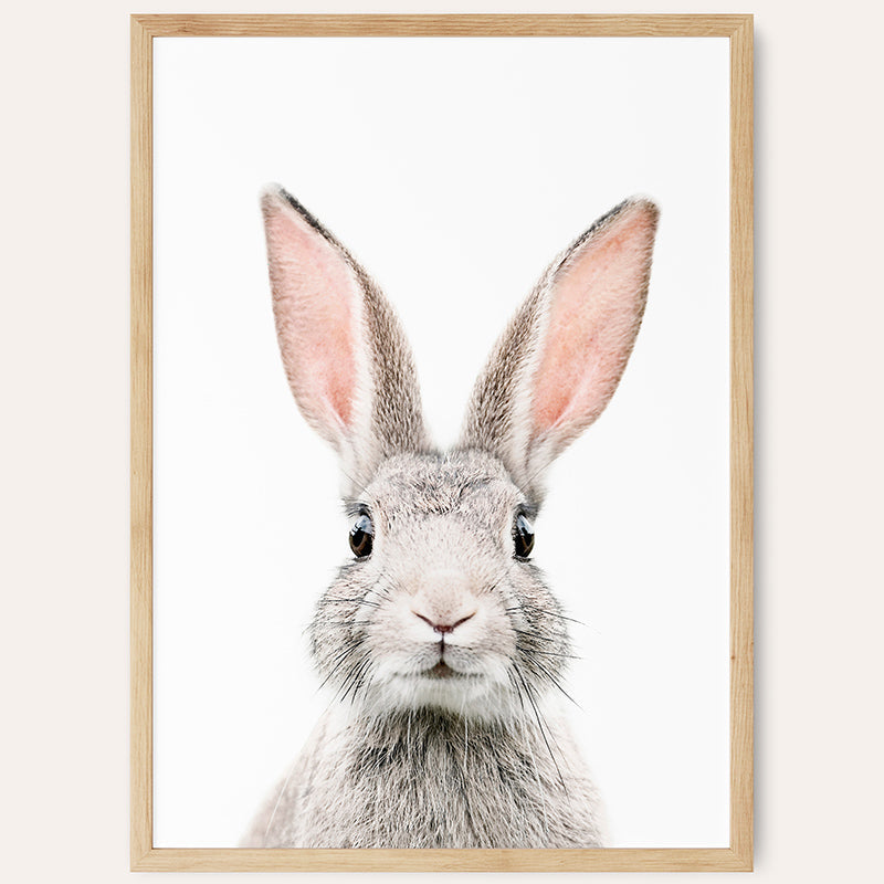 a picture of a rabbit&#39;s face in a wooden frame