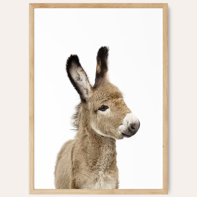 a picture of a baby donkey in a wooden frame