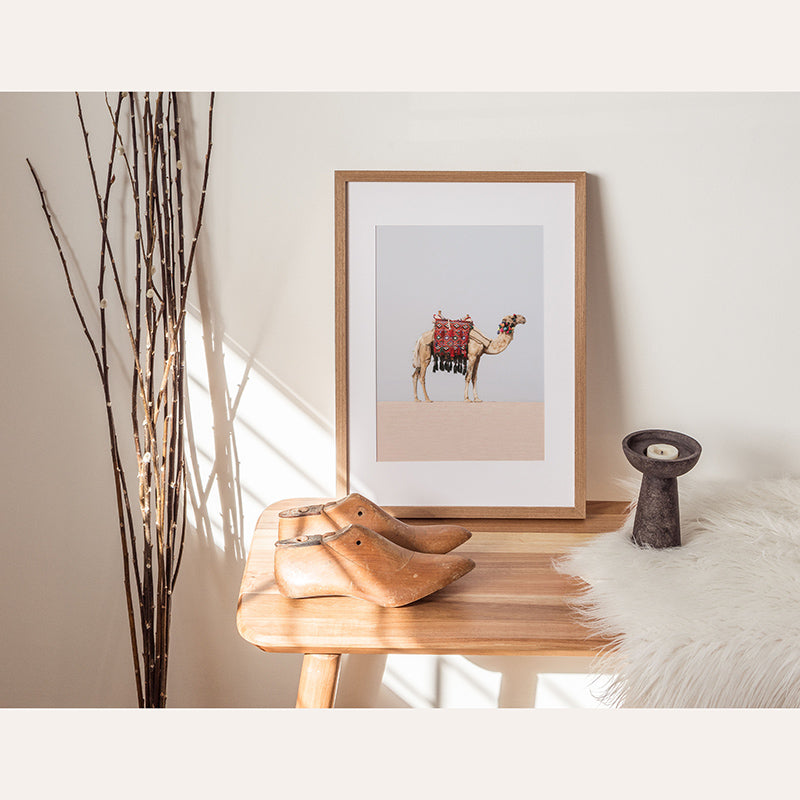 a picture of a camel on a table next to a pair of shoes