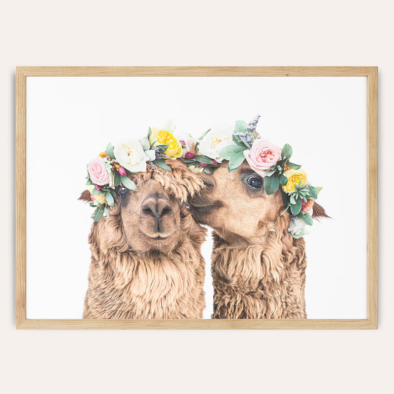 a couple of llamas with flowers on their heads