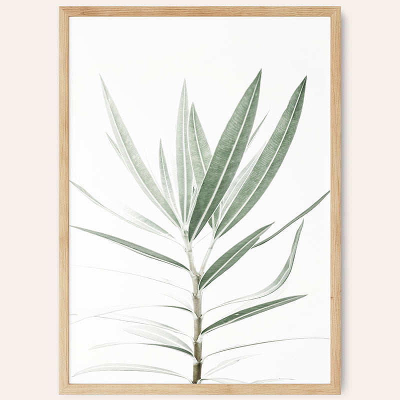 a picture of a plant in a wooden frame