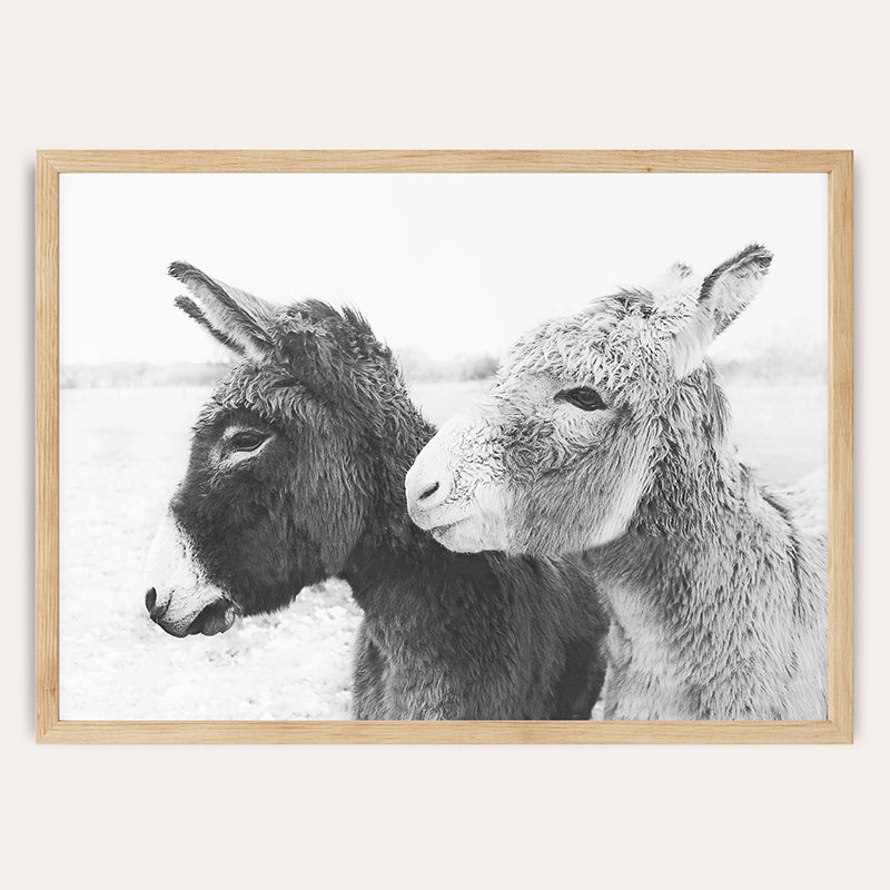 a black and white photo of two donkeys