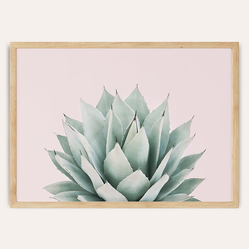 a picture of a plant in a wooden frame